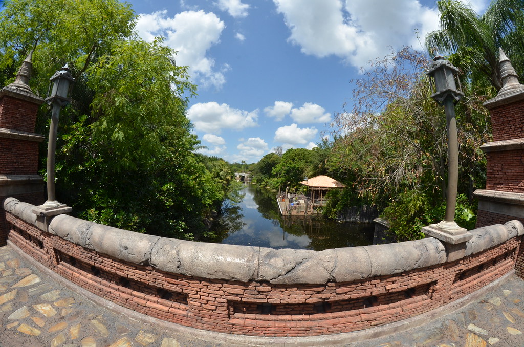 Disney’s Animal Kingdom 198