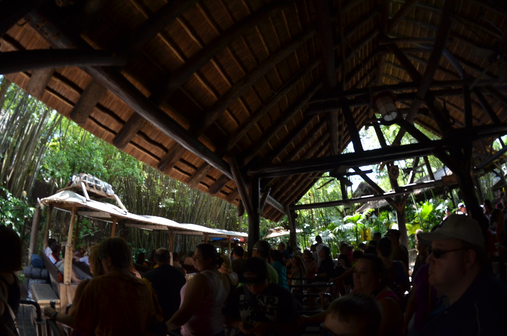 Disney’s Animal Kingdom 447