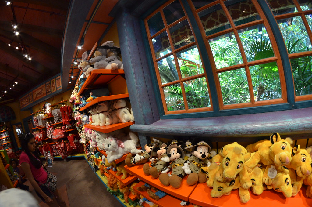 Disney’s Animal Kingdom 607