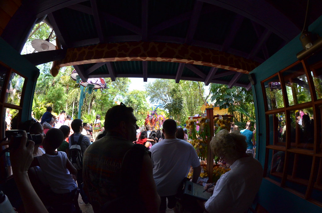 Disney’s Animal Kingdom 624
