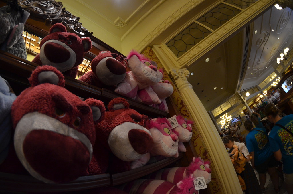 Disney’s Magic Kingdom 565