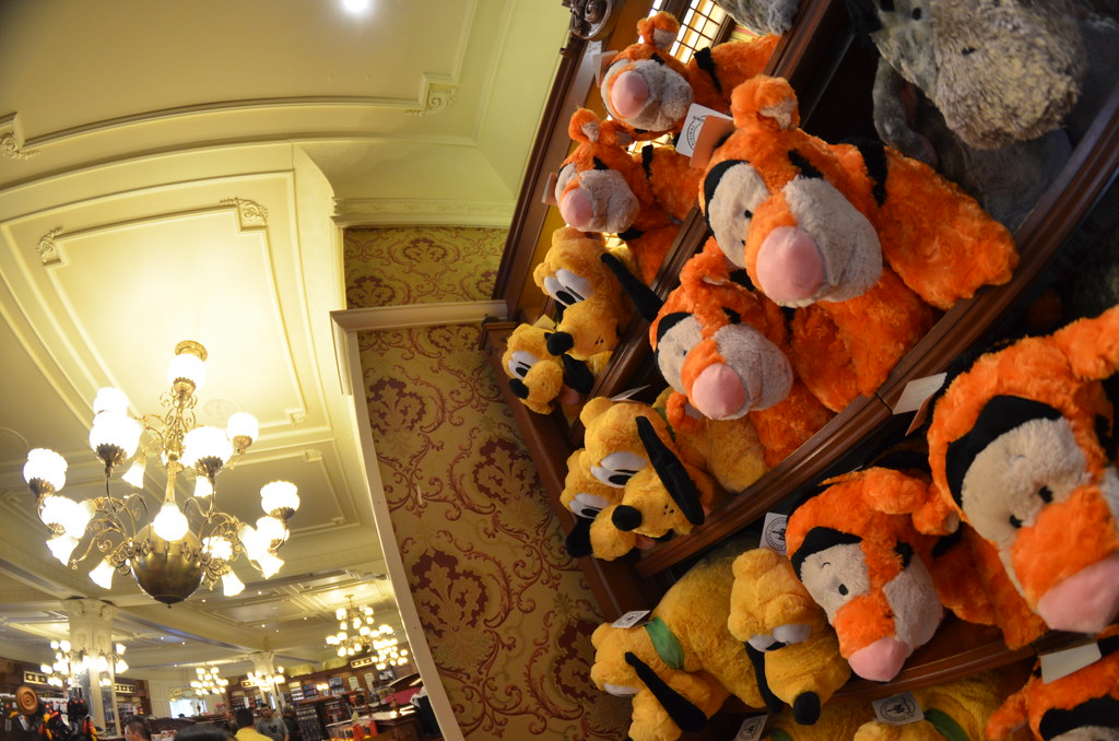 Disney’s Magic Kingdom 566