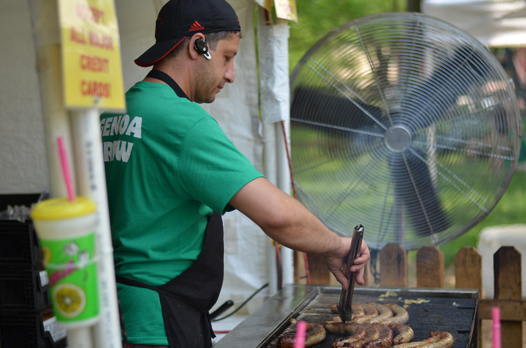 Naperville Civil War Days 193