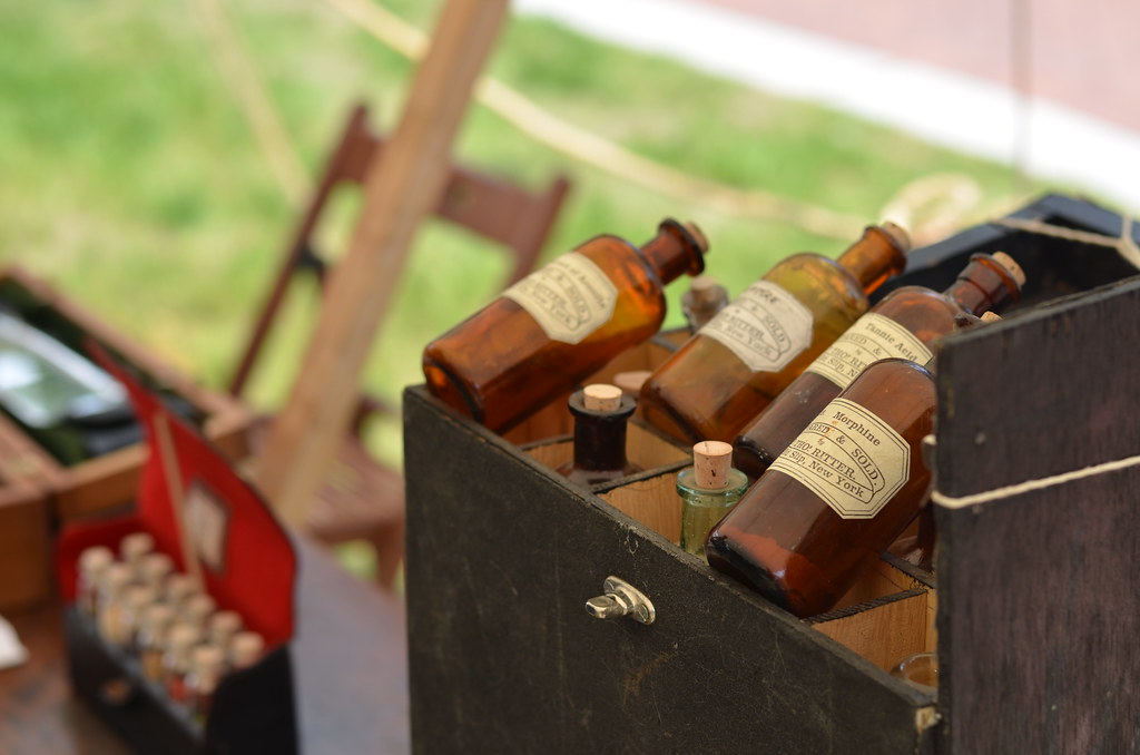 Naperville Civil War Days 206