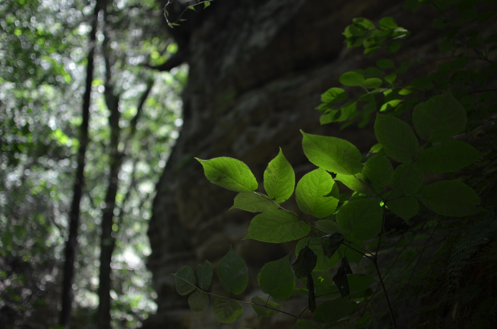 Matthiessen State Park 051
