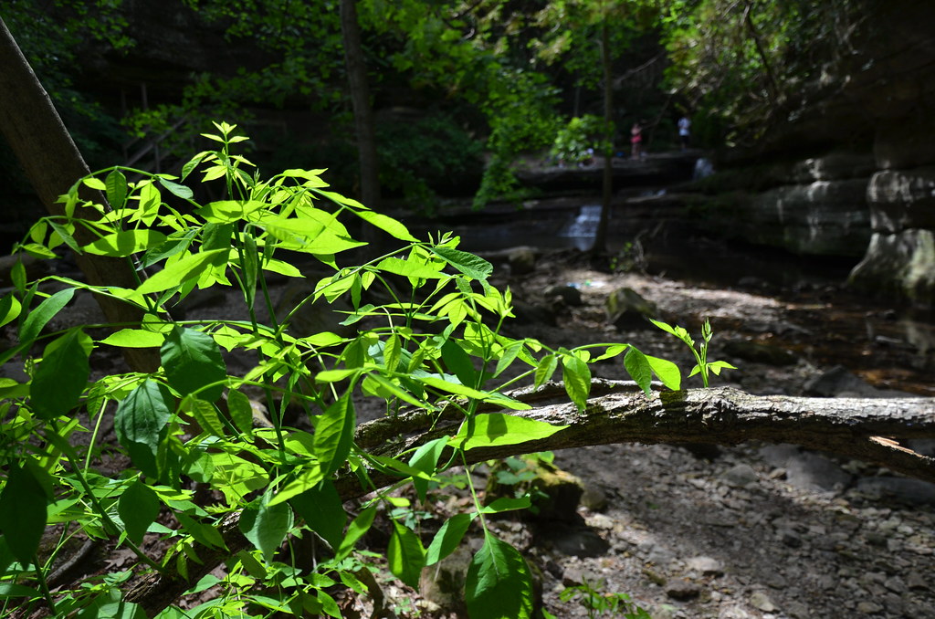 Matthiessen State Park 135