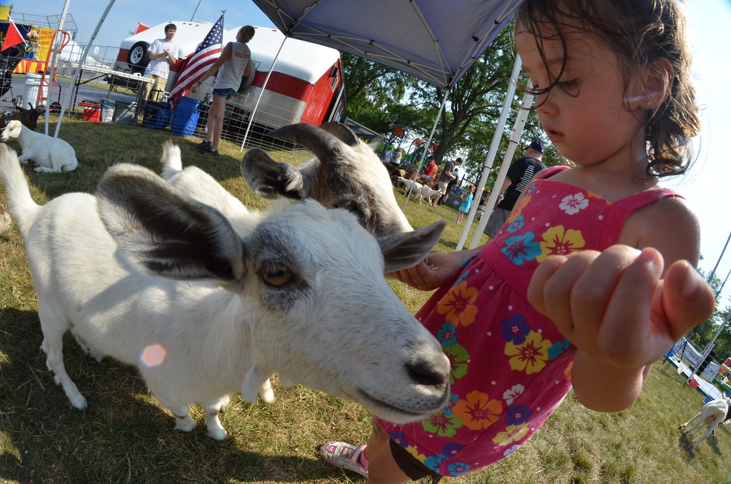Naperville Ribfest 164