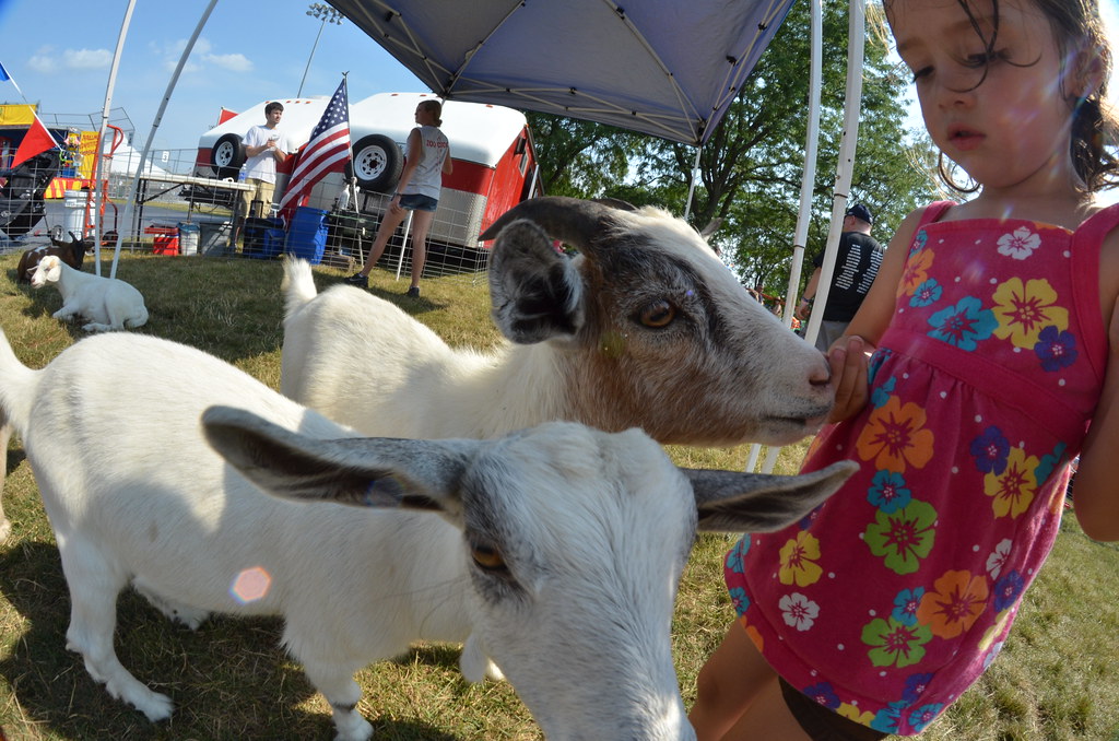 Naperville Ribfest 163