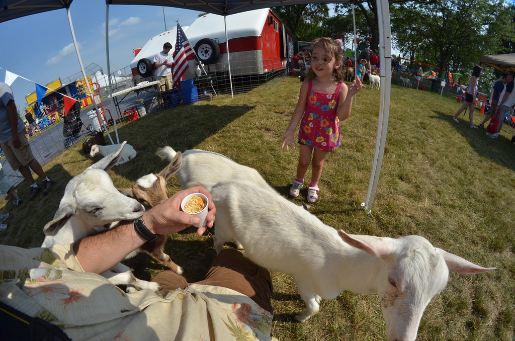 Naperville Ribfest 162