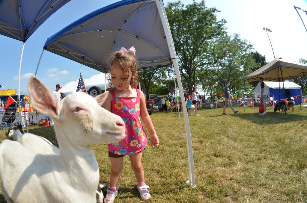 Naperville Ribfest 159