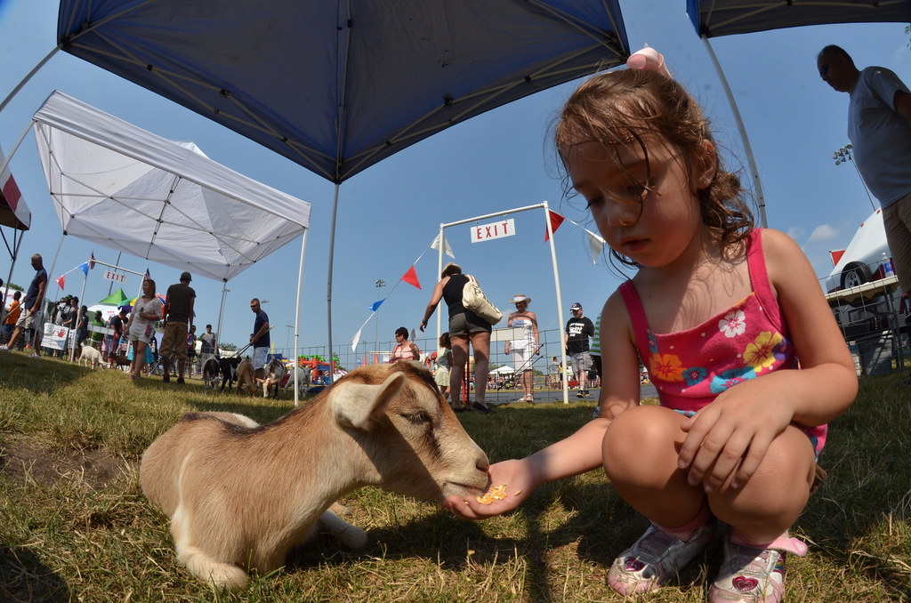 Naperville Ribfest 158