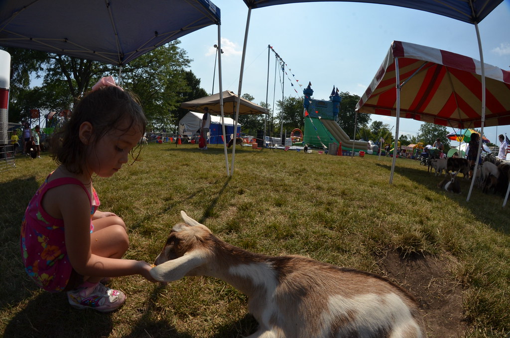 Naperville Ribfest 157