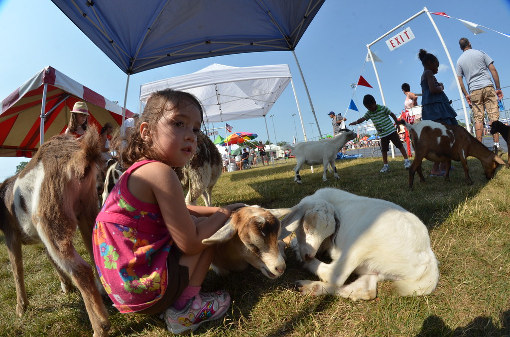 Naperville Ribfest 148