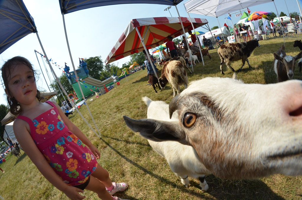 Naperville Ribfest 134