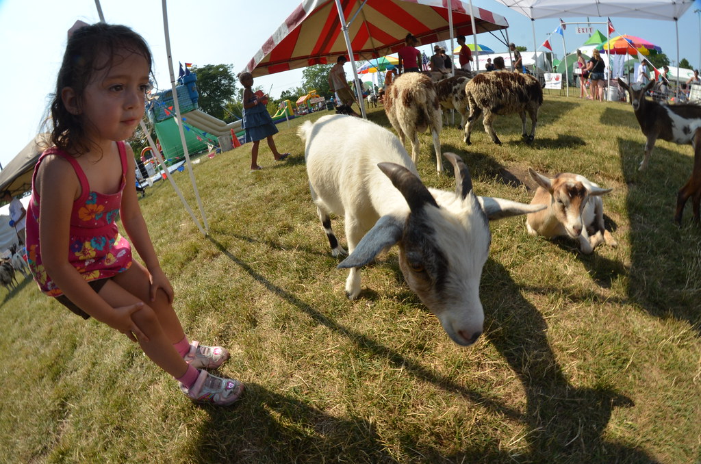 Naperville Ribfest 133