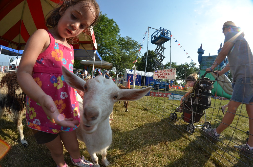 Naperville Ribfest 318