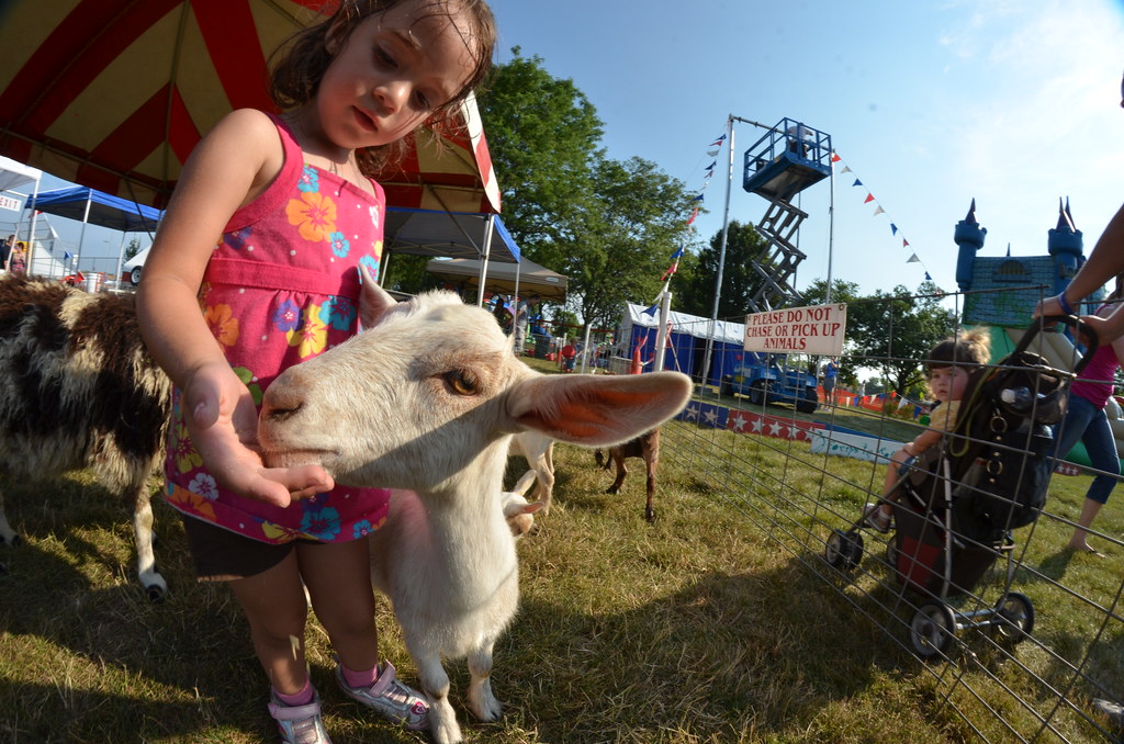 Naperville Ribfest 317