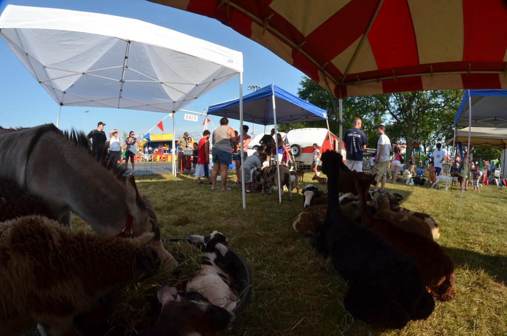 Naperville Ribfest 066