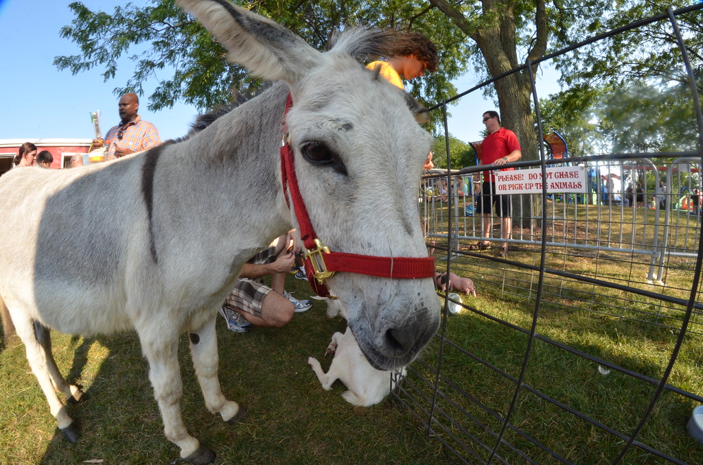 Naperville Ribfest 014