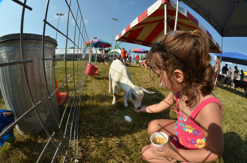 Naperville Ribfest 009