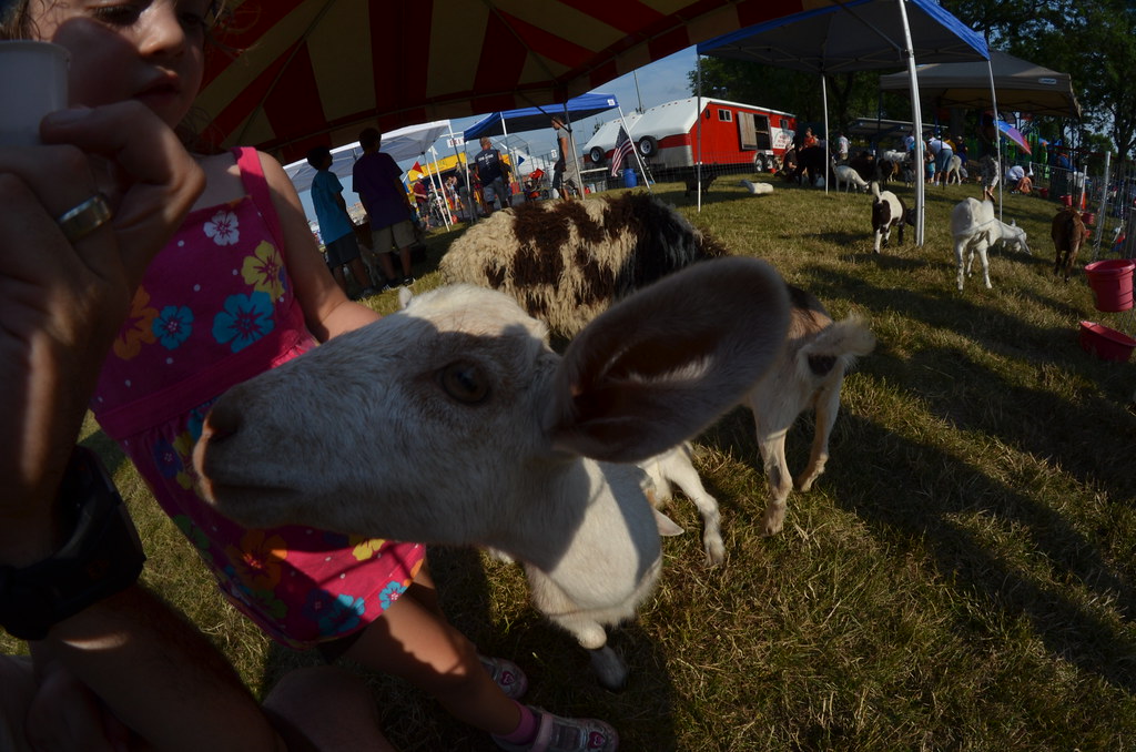 Naperville Ribfest 002