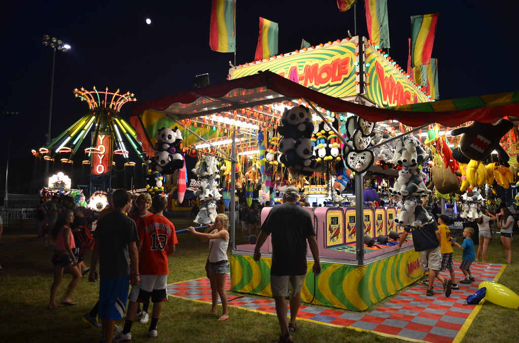 Whac-A-Mole Carnival Game
