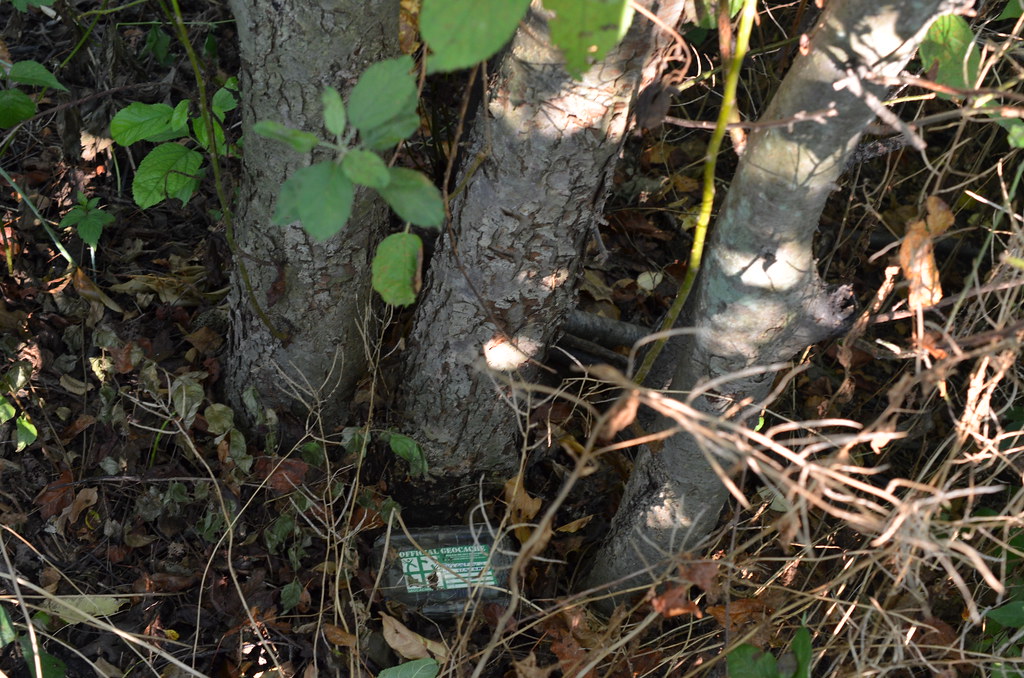 “Park and Play 3” Geocache