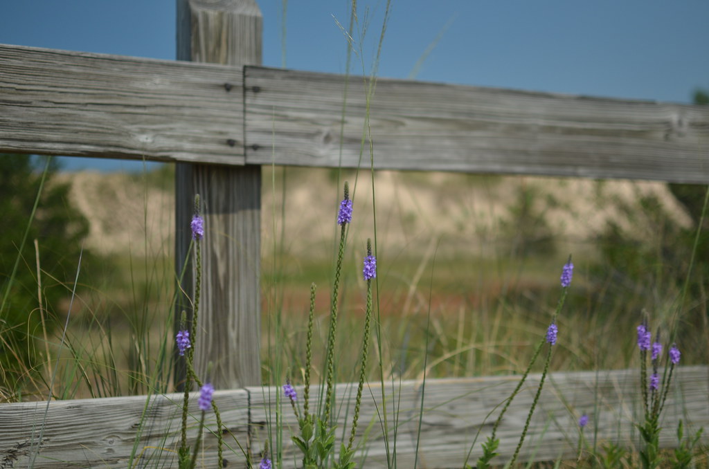 Northwest Indiana Lakeshore 049
