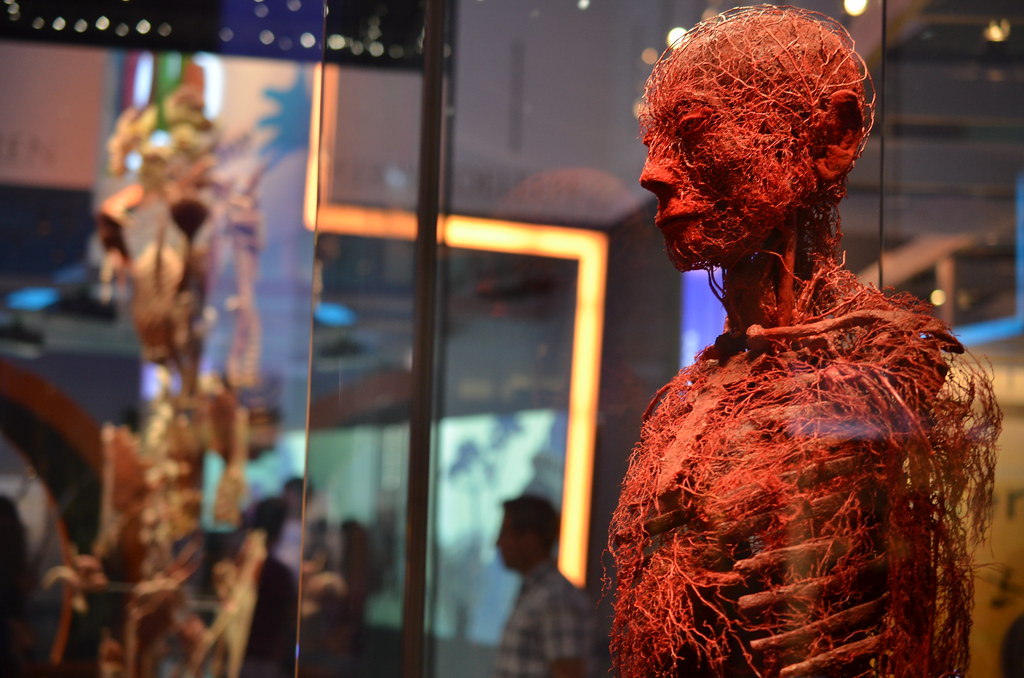 Museum of Science and Industry 453