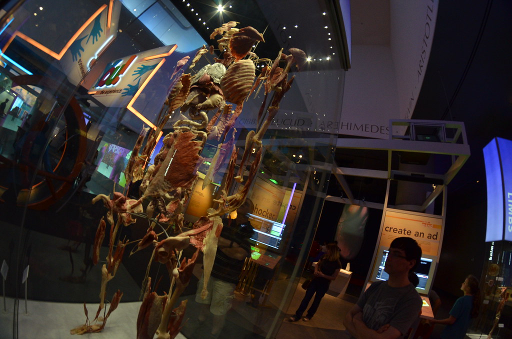 Museum of Science and Industry 466