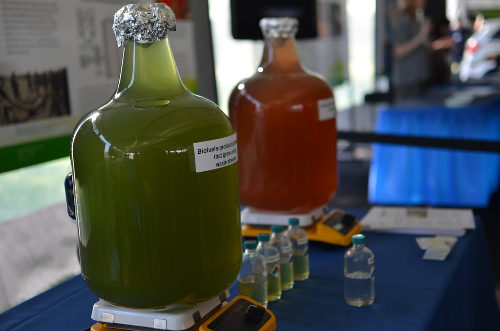 Argonne National Laboratory 025