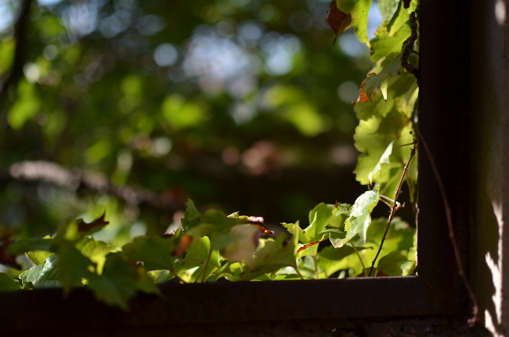 City Methodist Church 086