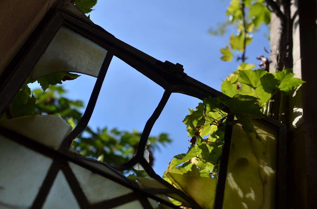 City Methodist Church 233