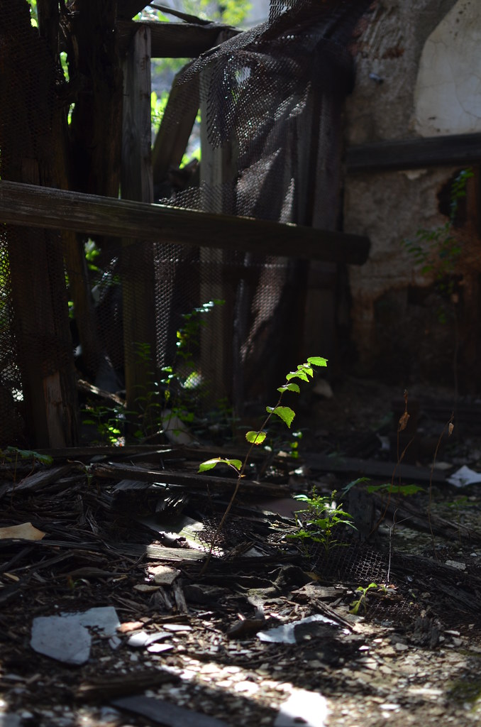 City Methodist Church 766