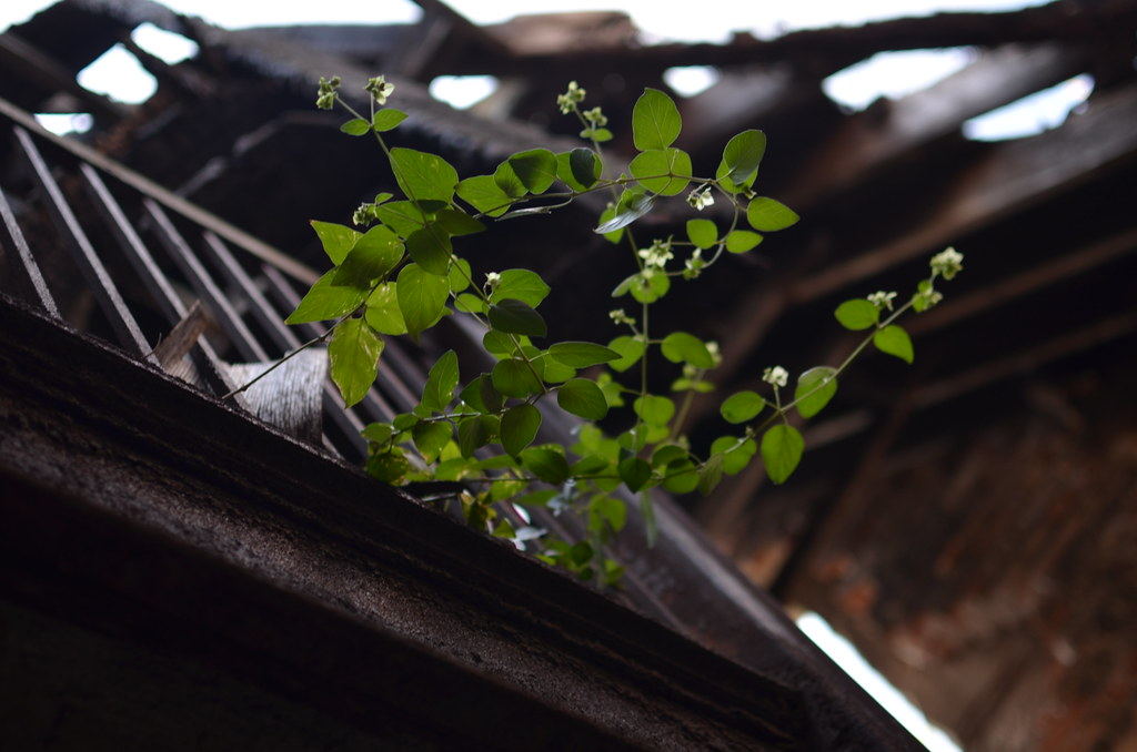 City Methodist Church 1087