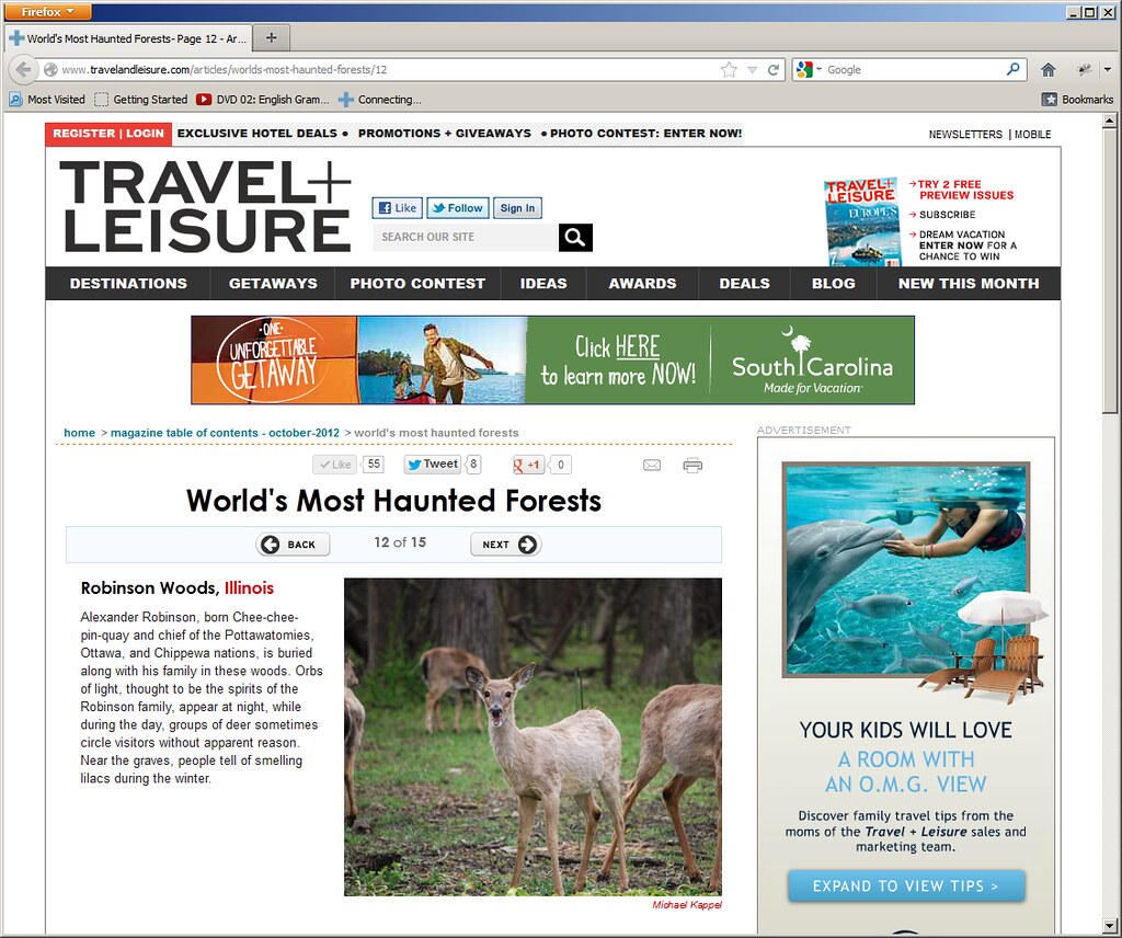 Worlds Most Haunted Forests