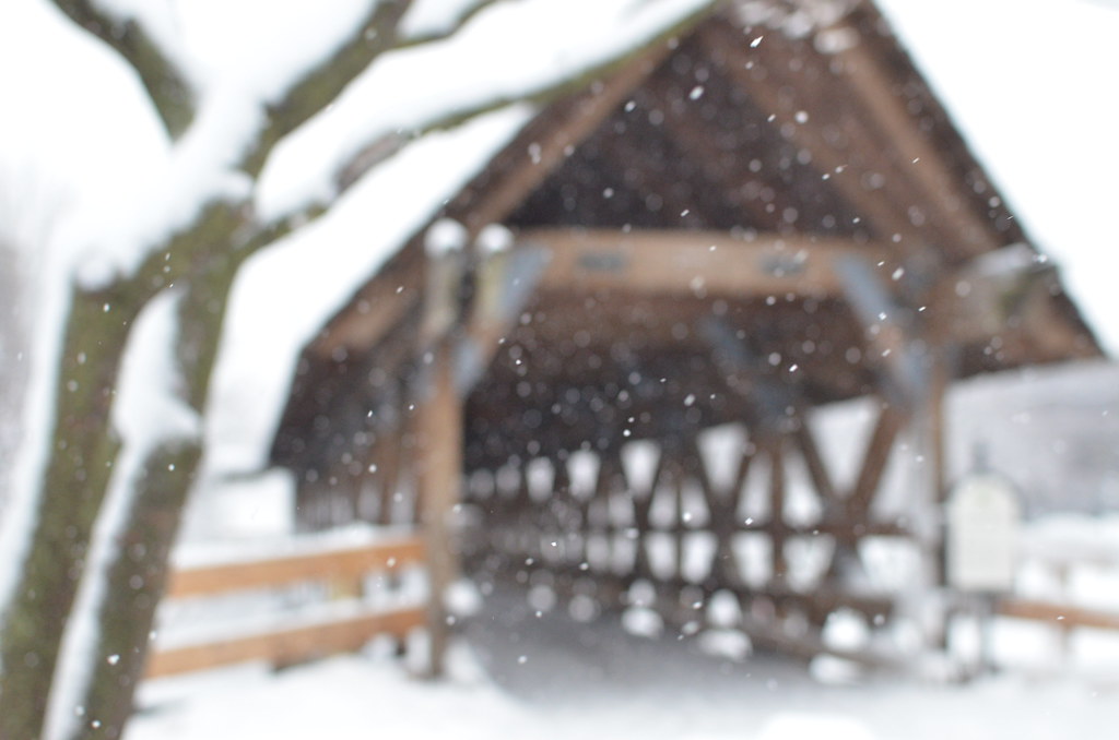 Snow Storm 106