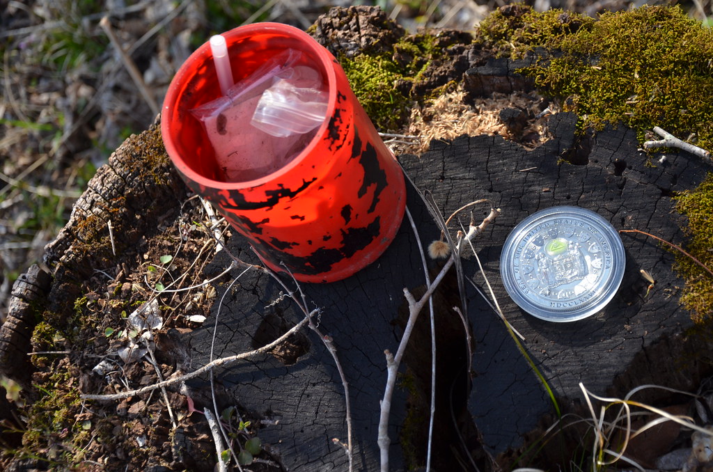 Illinois Iron Furnace Geocache