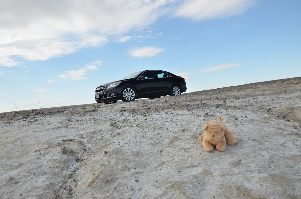 Bonneville Salt Flats 276