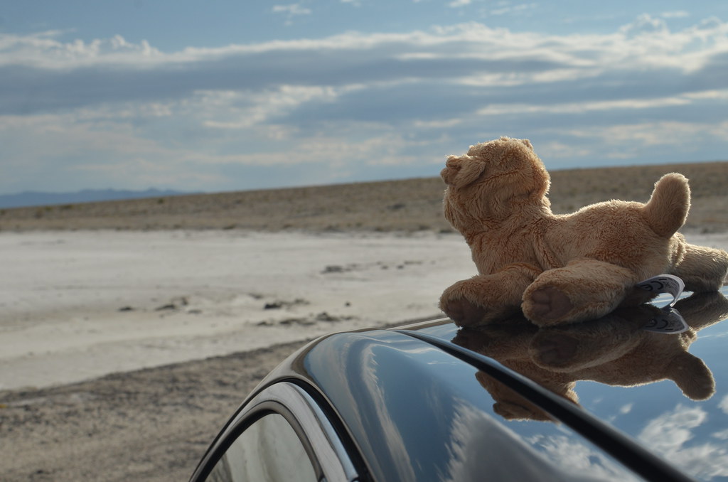 Bonneville Salt Flats 233