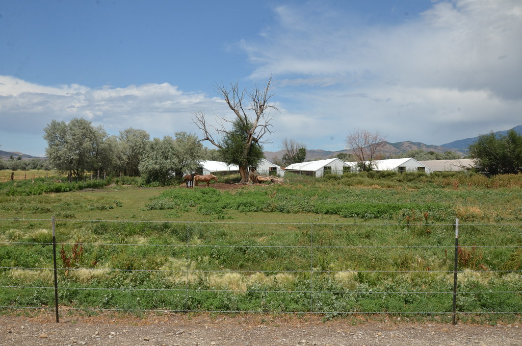 Utah 187
