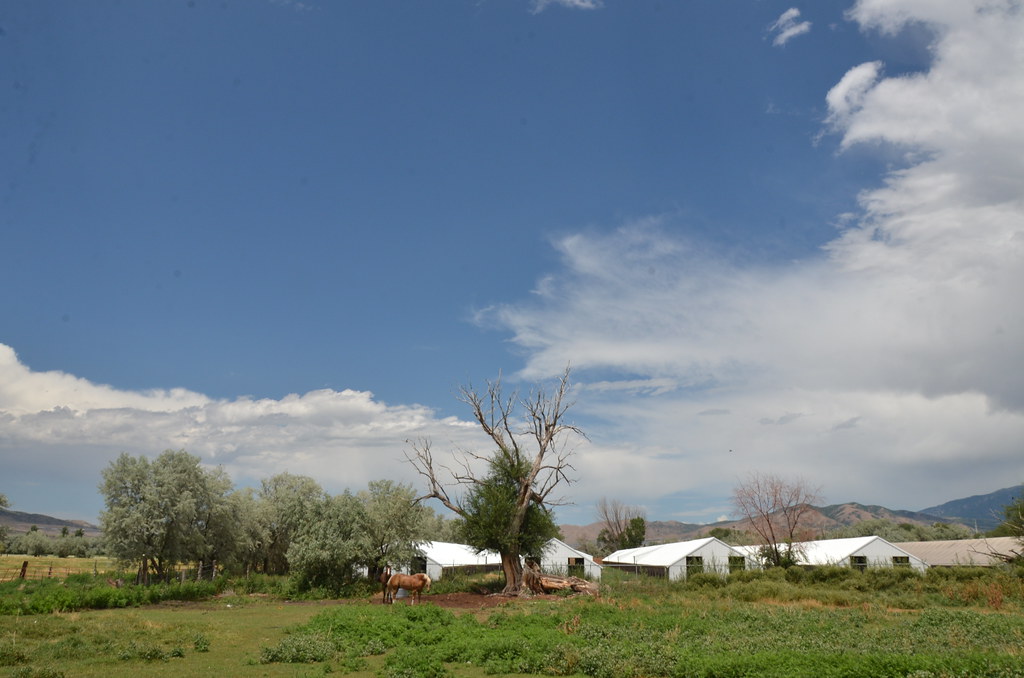 Utah 183