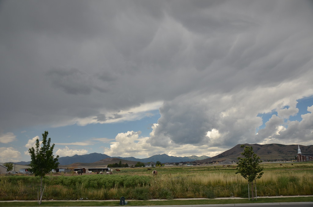 Utah 135