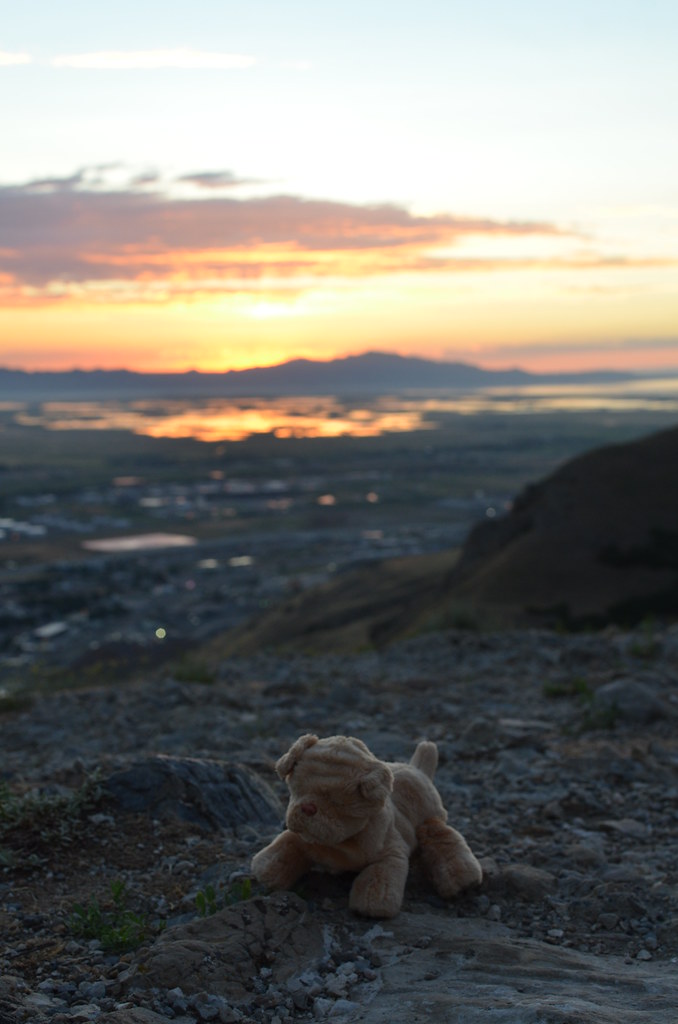 Salt Lake City 363