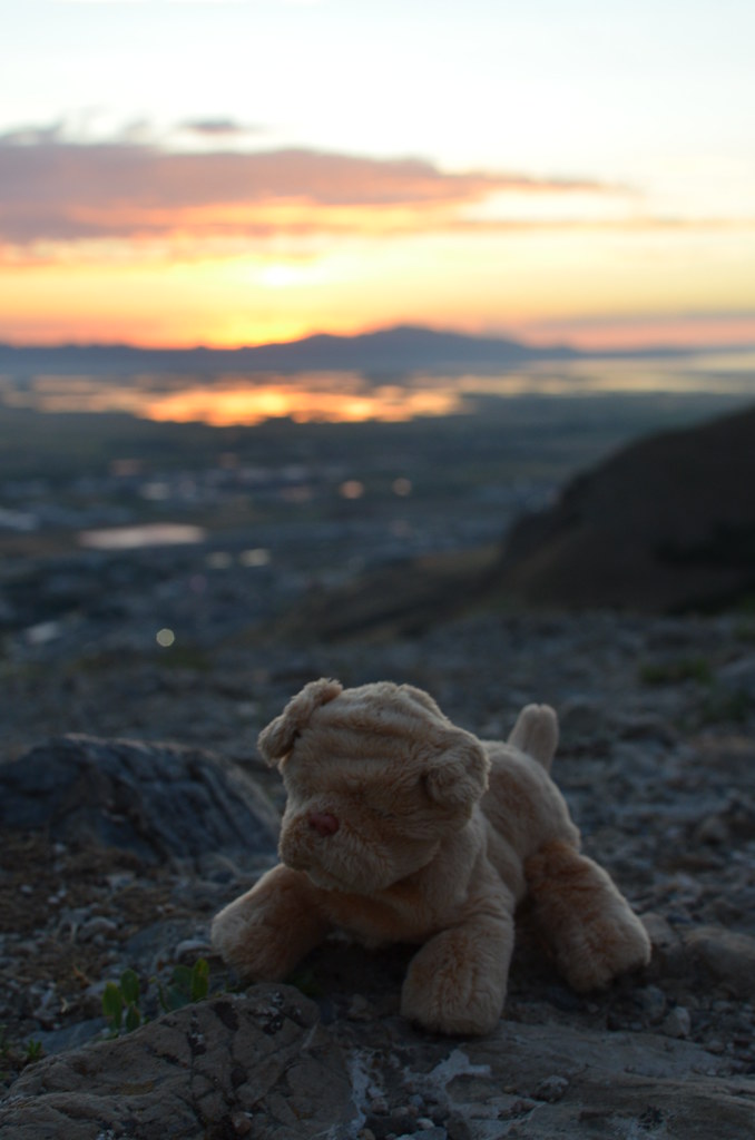 Salt Lake City 357