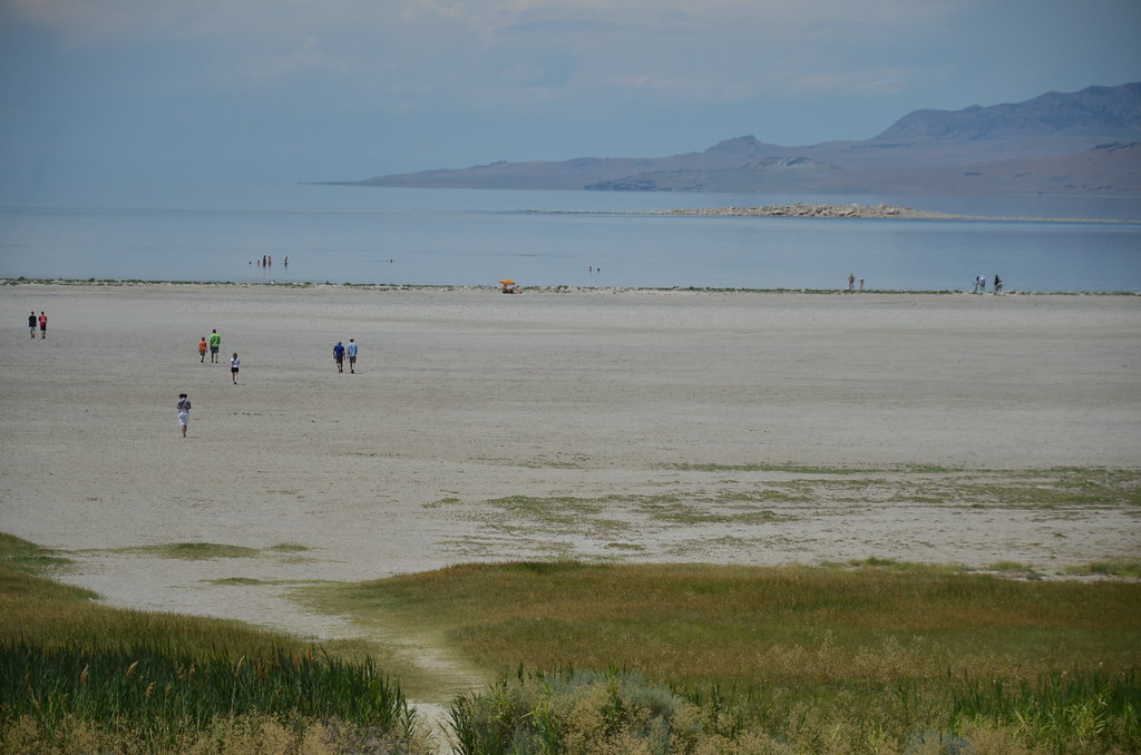 Antelope Island 337