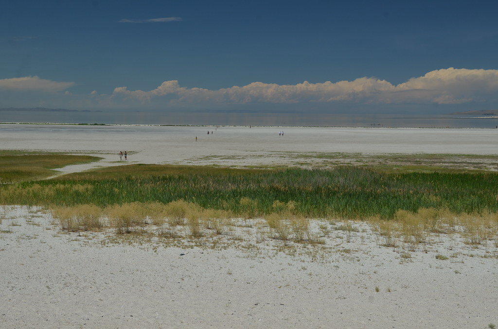 Antelope Island 318