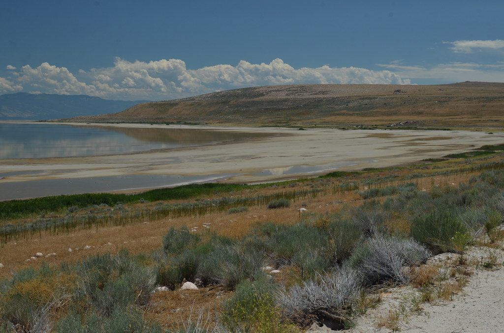 Antelope Island 310