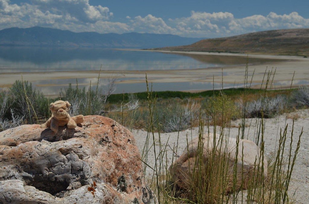Antelope Island 307