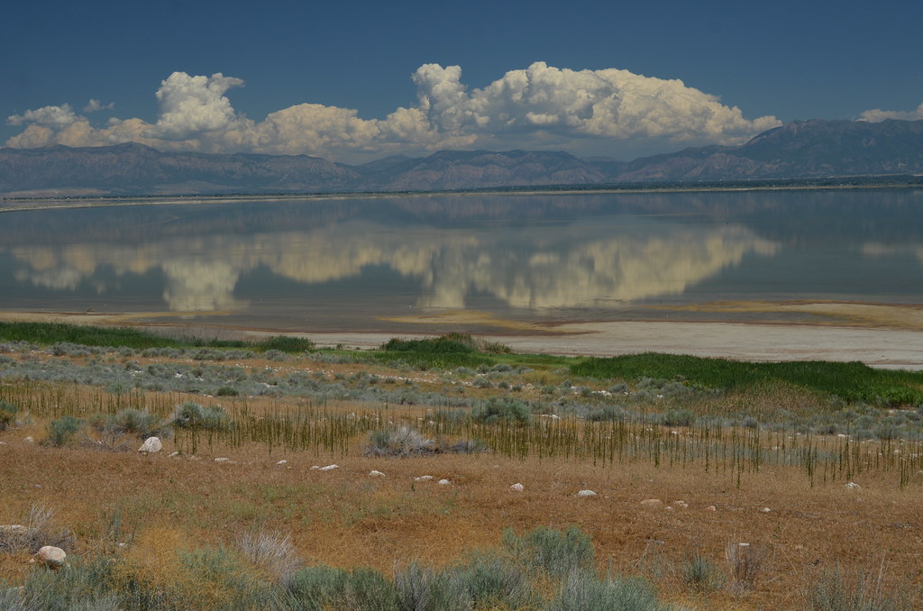 Antelope Island 304